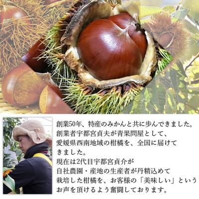 ふるさと納税 西予市 <栗尽くしセット(むき栗150g×2袋・生栗1kg)愛媛県西予市産> くり 生栗 剥き栗 フルーツ |  | 03
