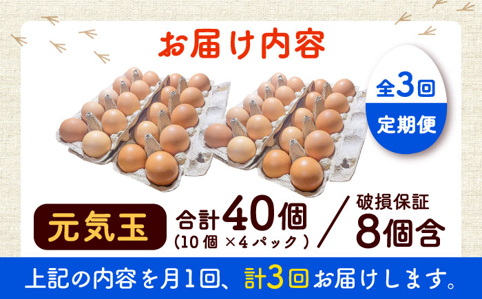 【全3回定期便】平飼い新鮮たまご 元気玉 計40個(10個×4パック) / 卵 ぷりぷり 新鮮 玉子 オムレツ たまごかけごはん 朝食 平飼い 濃厚 こく 熊本県 菊陽町【ぴよっこファーム】 [BHA