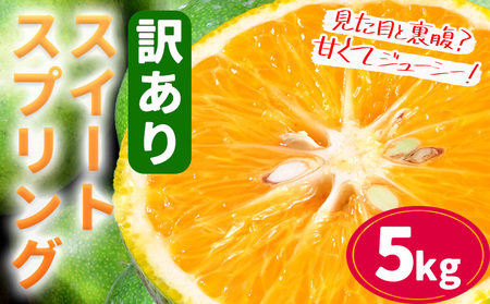 【先行予約】訳あり スイートスプリング 5kg｜柑橘柑橘柑橘都呂々