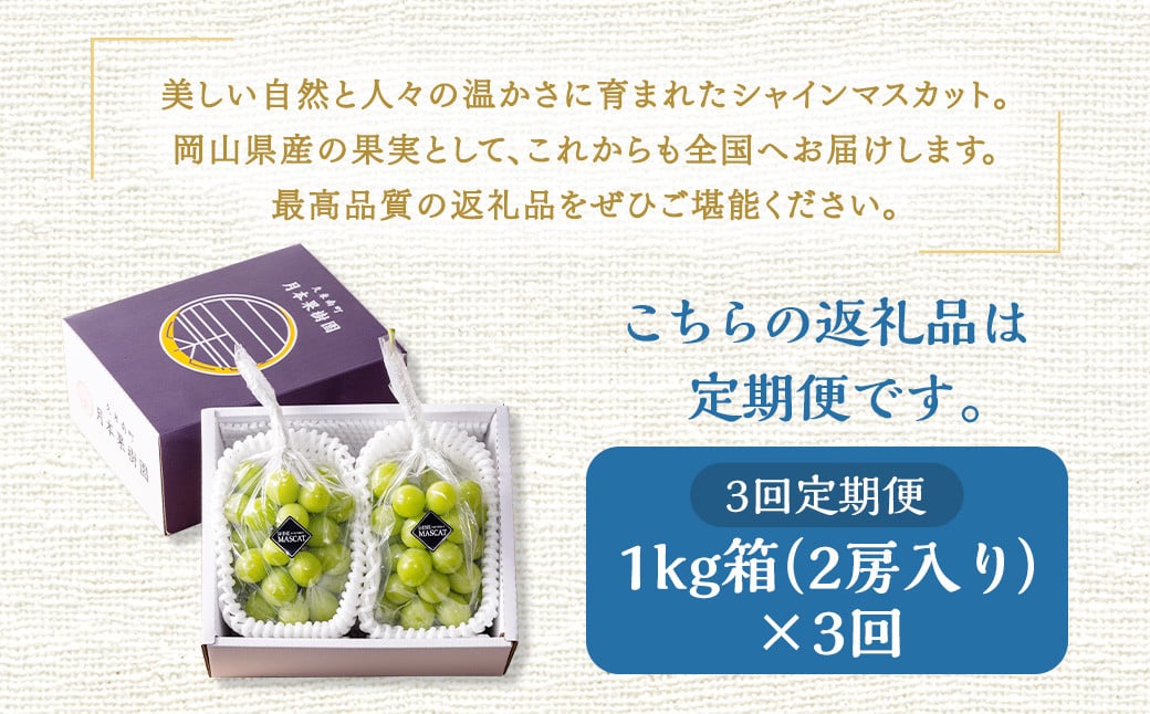【定期便3回】 ［種なし］ 岡山県産 シャインマスカット 1kg箱（2房入り） 【2025年10月下旬発送開始】 ／ ぶどう ブドウ 葡萄 大粒 種なし 種無し フルーツ 果物 くだもの 果実