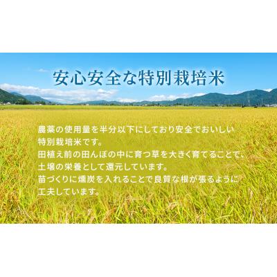 ふるさと納税 加西市 令和7年産 白米 3kg 特別栽培米 にこまる[No5698-1878] |  | 02