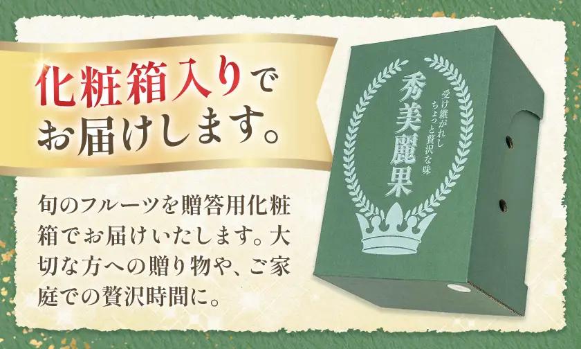 新高梨 3㎏ 日本フルーツ株式会社 梨