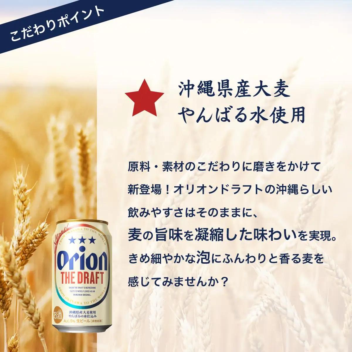 定期便 5回 ビール オリオン ザ・ドラフト 350ml 24缶