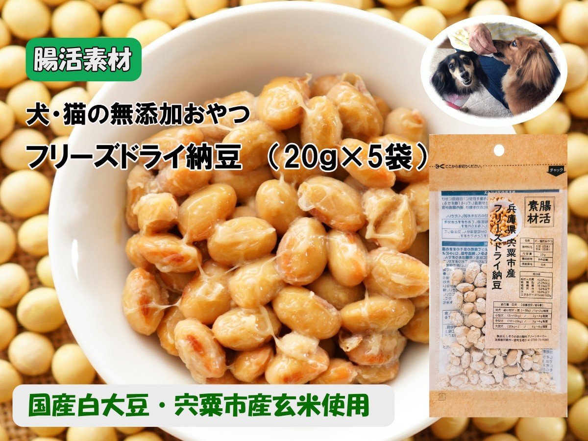 
                  O22　腸活素材　犬・猫の無添加おやつ　フリーズドライ納豆　【 いぬ イヌ 犬 ねこ ネコ 猫 おやつ 腸活 安全 安心 健康 無添加 フリーズ ドライ グルテンフリー たんぱく質 大豆 】
                