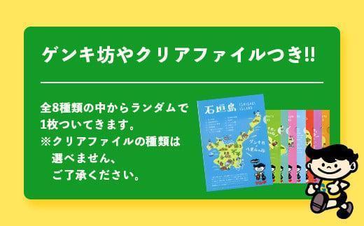 【ふるさと納税限定】【定期便_6回】ゲンキクールバリューセット【八重山ゲンキ乳業】【石垣島のソウルドリンク ゲンキクール】GN-1_6t 定期便6回
