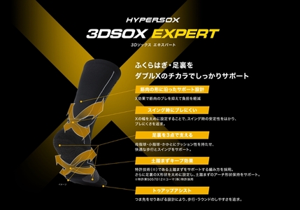 【 支える一足 】 ブリヂストンゴルフ ダブルX 3Dソックス エキスパート（ロング）（2足セット）ブラック 靴下 ソックス 