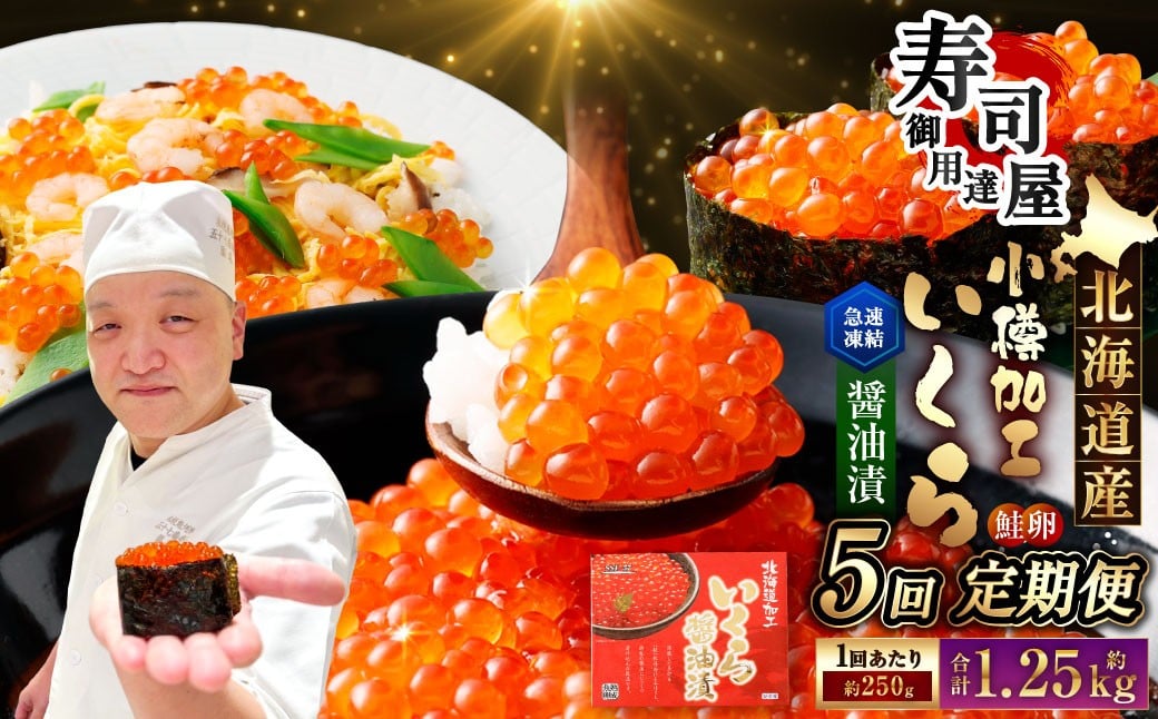 
            【5回定期便】 北海道加工 いくら醤油漬 約250g（1パック）×5回 計約1.25kg いくら醤油漬け いくら イクラ 醤油漬 醤油漬け 冷凍
          