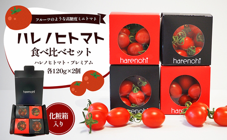トマト ハレノヒトマト 食べ比べ 4個 三重 トマト