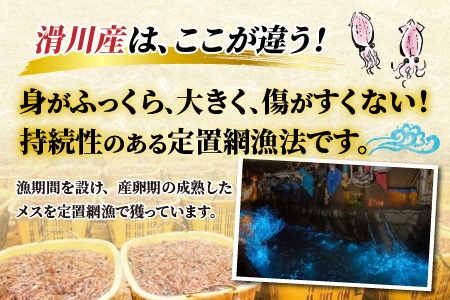 【先行予約】ほたるいか ボイル＆刺身セット【(株)川村水産】※24年3月以降順次発送予定