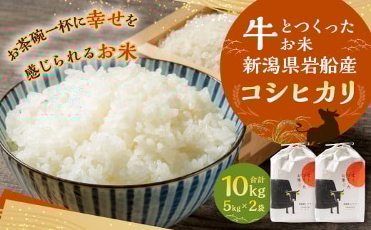 【令和7年産米】牛とつくったお米 新潟県村上市岩船産 コシヒカリ 精米 10kg（5kg×2袋） 1041005