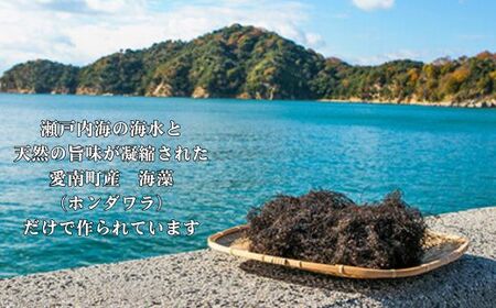 海人の藻塩　スタンドパック（100g）×2パック 5000円 塩 しお 藻塩 も塩 旨味 まろやか 海藻 ホンダワラ チャック付き パック ミネラル 天ぷら 野菜 肉 焼肉 豆腐 家庭用 贈答用 贈答