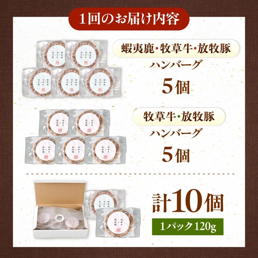 【全6回定期便】ハンバーグ 食べ比べ 10個セット（蝦夷鹿/牧草牛/放牧豚）  鹿肉 牛肉 豚肉 セット 食べ比べ 小分け 冷凍 北海道 [AXBP048]