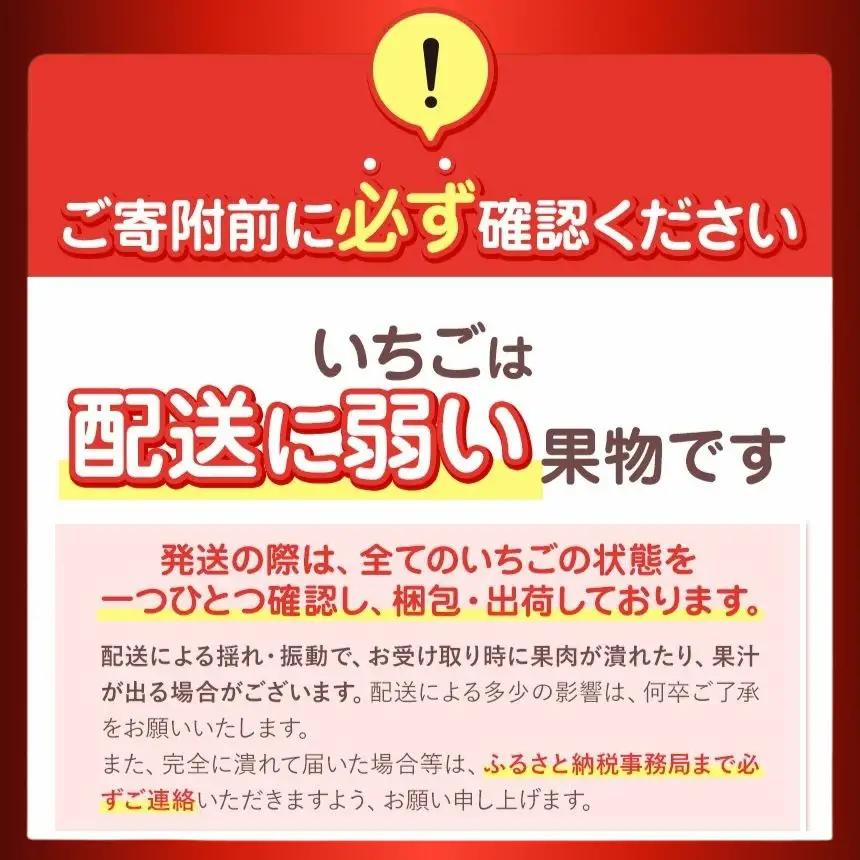 【栃木県共通返礼品】完熟とちあいか 極上大粒ギフト 1粒40g前後 贈答用12粒入
