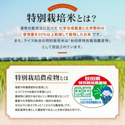 ふるさと納税 大潟村 【胚芽米】大潟村産あきたこまち特別栽培米10kg 【令和7年産】 |  | 01
