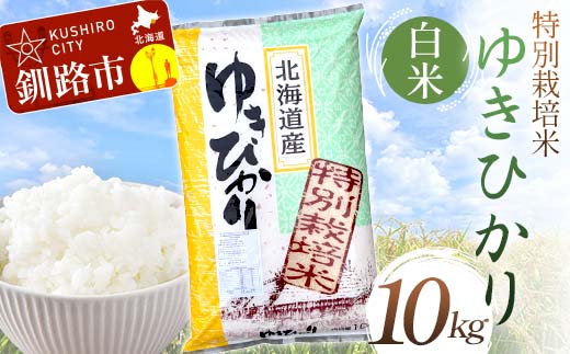 【6月発送】特別栽培米ゆきひかり 10kg 白米 北海道産 米 コメ こめ お米 白米 玄米 F4F-7259