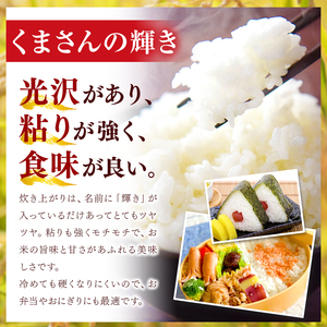 【定期便3回】令和7年産 熊本県産 くまさんの輝き 白米 20kg こめ 米