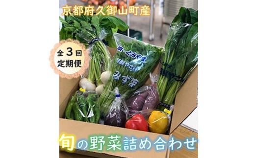 ＜毎月定期便＞ 季節の京都府久御山野菜詰合せ全3回【4013886】