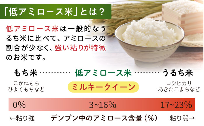 ミルキークイーン 2合× 20袋 （ 300g×20袋 ） 小分け袋 糸島市 / 玄米・精米専門店 新飼宗一郎商店 米 白米 [ADE018] 米 白米 お米 精米 300g  ミルキークイーン 小分