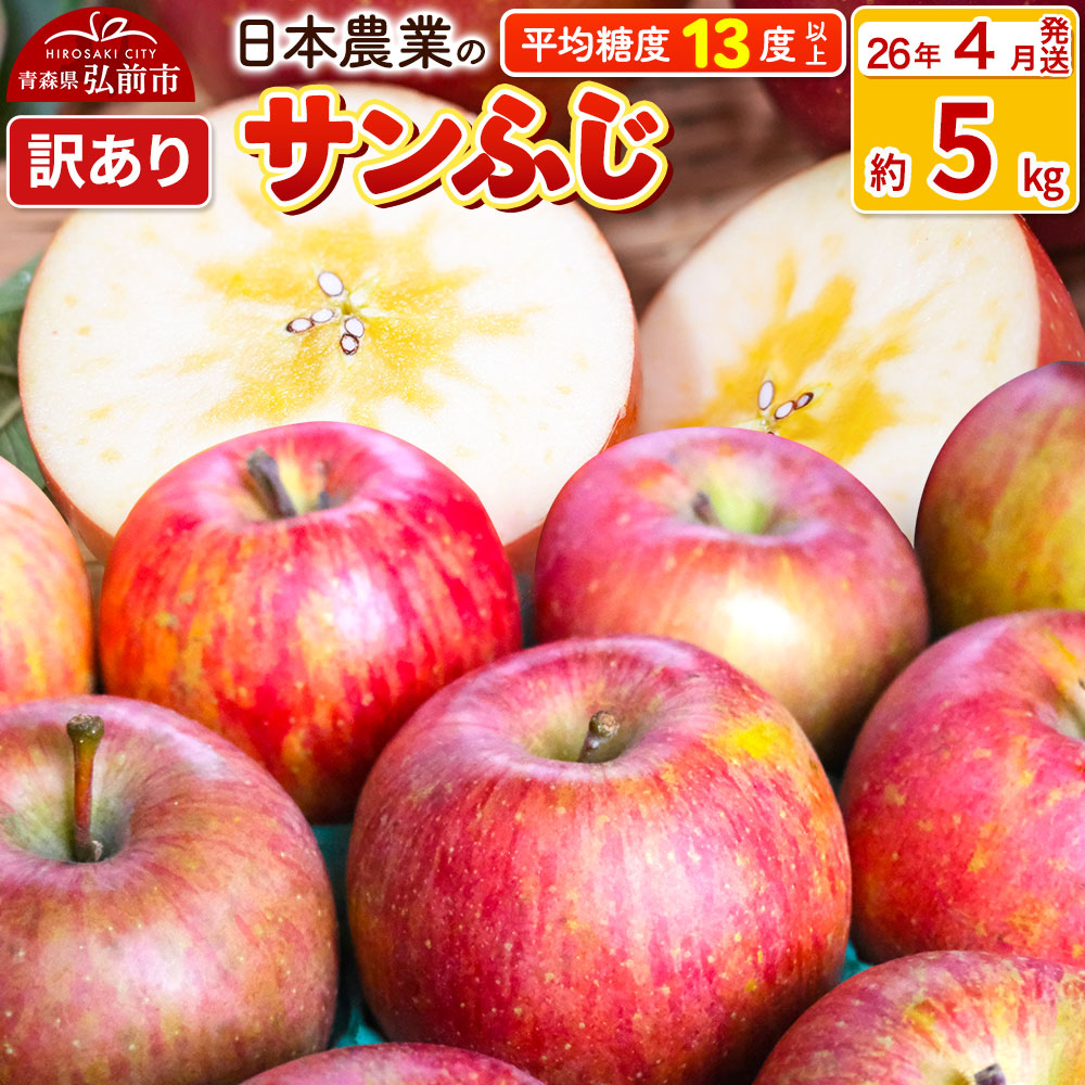 【26年4月発送】りんご 平均糖度13度以上！ サンふじ 約5kg 訳あり CA貯蔵 クール便 青森 果物 フルーツ 林檎 リンゴ くだもの 不揃い 規格外