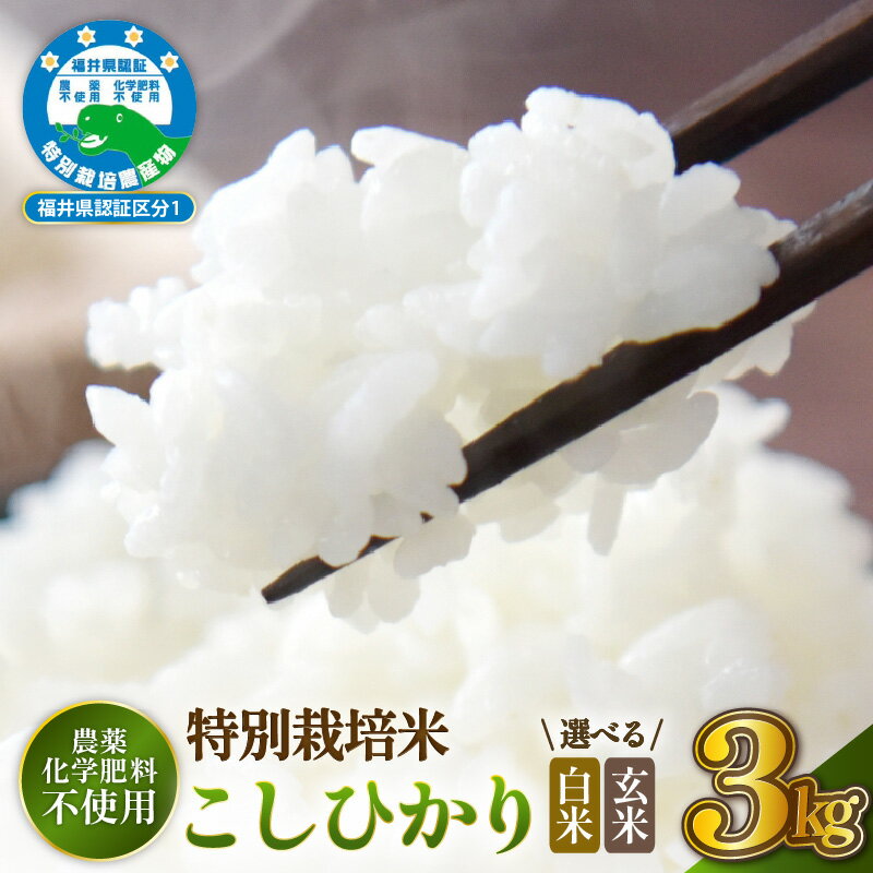 【ふるさと納税】【令和7年産 】 特別栽培米コシヒカリ3kg 農薬不使用米 福井県認証区分1取得 越前町【選べる精米方法：白米／玄米】【3キロ お米 コメ 農薬化学肥料不使用 送料無料】