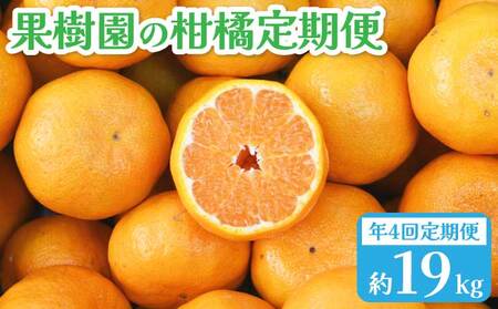 【先行予約】果樹園の柑橘定期便 年４回 【2027年1月下旬発送開始】ポンカン5kg 不知火4kg 極早生みかん5kg 早生みかん5kg 合計19kg
