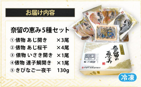 奈留の恵み(干物5種詰め合わせ) アジ キビナゴ イサキ 連子鯛 キダイ 一夜干し 長崎俵物 五島市/奈留町漁業 [PAT003]