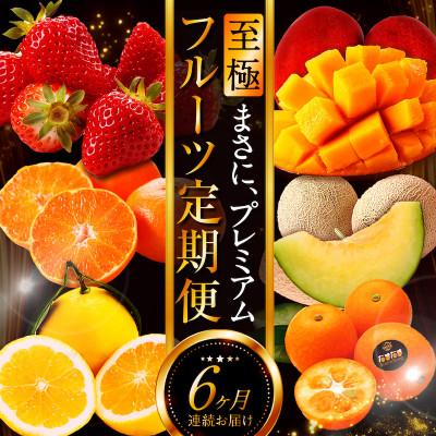 ふるさと納税 宮崎市 【発送月固定定期便】宮崎の旬なくだものをお届け!至極くだもの定期便全6回