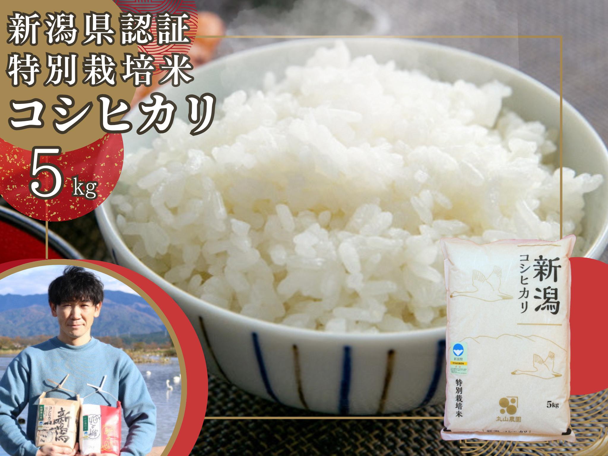 
                  【令和7年産】【新潟県認証米】 5kg 特別栽培米 従来コシヒカリ 阿賀野市産 丸山農園 米 こめ コメ 白米 精米 3F01013
                