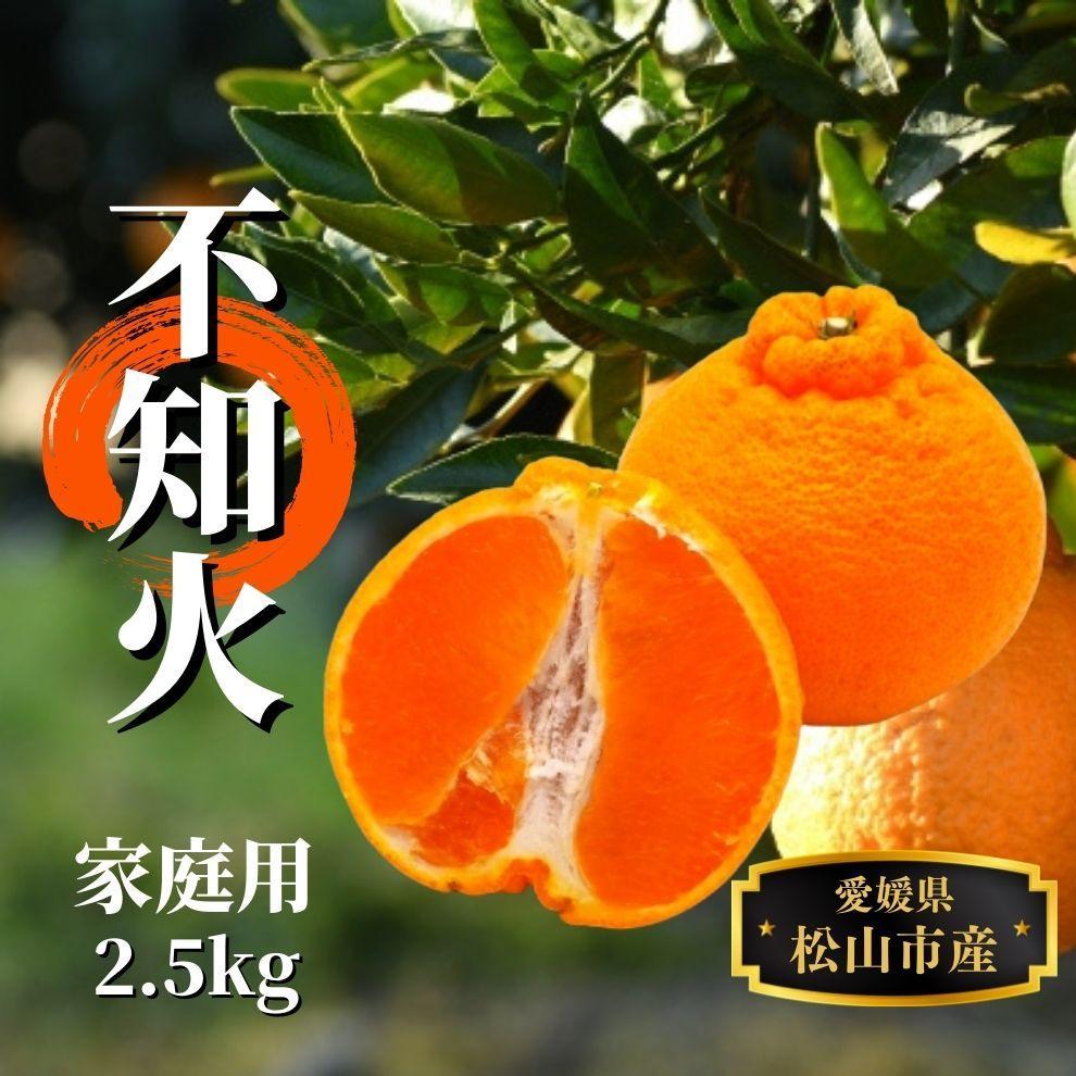 【ふるさと納税】【不知火】家庭用 約2.5kg ＜2026年2月末から4月頭頃発送＞