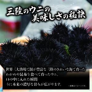 訳あり 半生うに 200g 100g×2 冷凍 うに キタムラサキウニ ミョウバン不使用 生うに ウニ 雲丹 寿司 Sea urchin 新鮮 ごはん 夕飯 おかず おつまみ 晩酌 米 丼 海産物 海