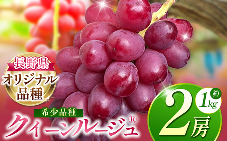 【2025年 先行予約】 クイーンルージュ® 2房 | 果物 くだもの フルーツ 葡萄 ぶどう ブドウ 長野県 塩尻市