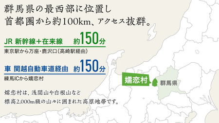 嬬恋村 で使える 感謝券 90,000円 分 (90枚)  [AO011tu]