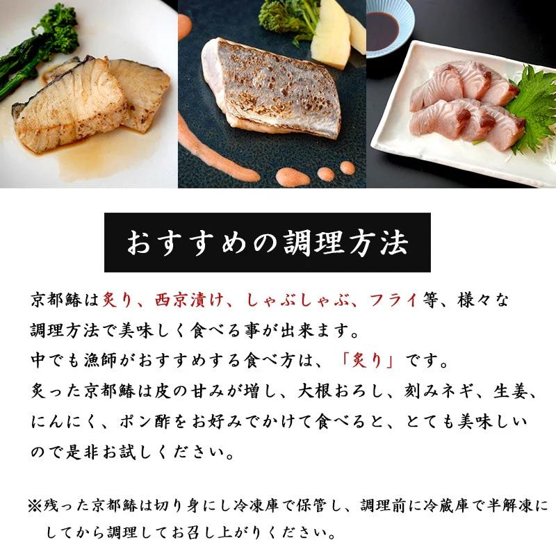 【11月〜3月発送】 漁師直送！！ 一本釣り 京都鰆 2.8kg 以上 鮮魚 1尾 天然 新鮮 鮮度抜群 冷蔵 ナマモノ 寒さわら 活締め