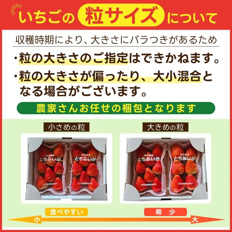 とちあいか いちご ★贈答用★ 600g 300g×2P DJ002