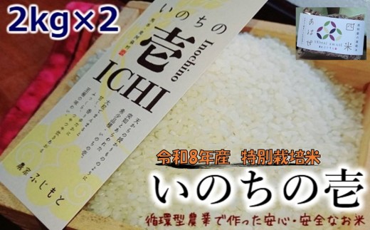 【数量限定！農家から直接お届け】令和8年産特別栽培米 いのちの壱(白米)2kg×2
