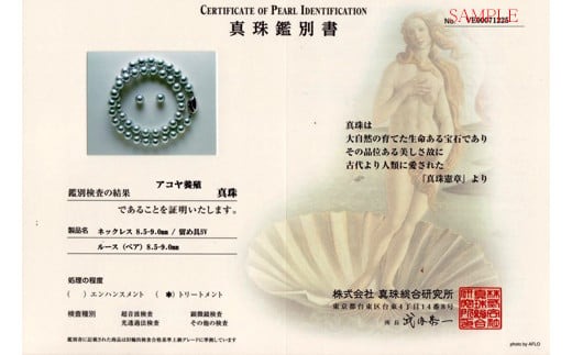 真珠 8.5 ～ 9.0 ｍｍ ネックレス ピアス セット ブルーグレー あこや パール 本真珠 三重県 伊勢 志摩市 アクセサリー ジュエリー ファッション おしゃれ フォーマル プレセント ギフト