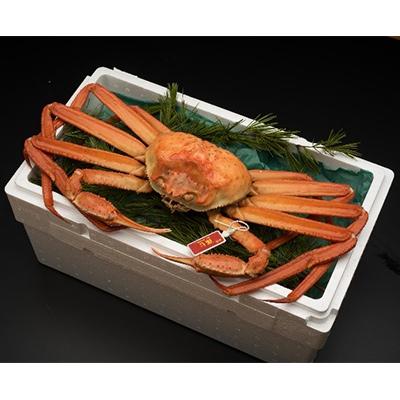 ふるさと納税 射水市 新湊産紅ズワイガニ・孫七タグ付き(約1kg) |  | 01