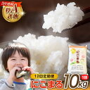 【ふるさと納税】【 12回定期便 】 長崎県産 精米 にこまる 10kg 総計 120kg / 南島原市 / 大松屋商店 [SDR008]
