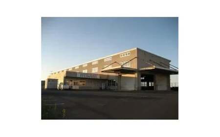 鳥取県産「新甘泉（しんかんせん）」　5kg