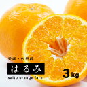 【ふるさと納税】【先行予約】Saito Orange Farmのはるみ3kg ｜ 柑橘 みかん ミカン フルーツ 果物 愛媛　※離島への配送不可　※2025年2月中旬頃より順次発送予定