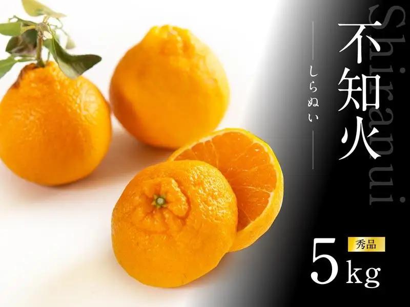 不知火 5kg 赤秀 不知火
