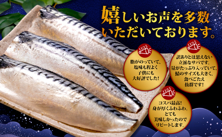 訳あり 塩さば フィレ 約3kg 期間限定 増量 中 鯖鯖鯖鯖鯖