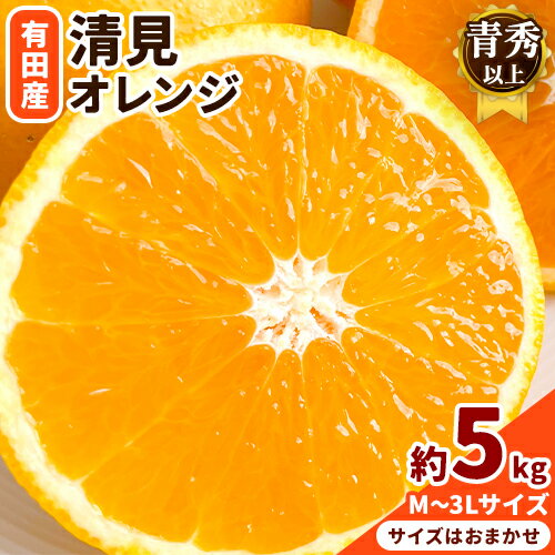 【ふるさと納税】【濃厚】有田産 清見 オレンジ 約 5kg（M〜3Lサイズおまかせ）青秀以上 日高川町厳選館《2026年2月中旬-3月末頃より出荷予定》和歌山県 日高川町 柑橘 果物 フルーツ 清見オレンジ