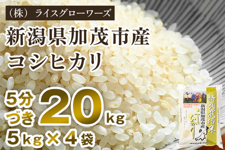 【令和8年産新米先行予約】5分づき 新潟県 加茂市産 特別栽培米コシヒカリ 20kg（5kg×4）《10月上旬～順次出荷》 （株）ライスグローワーズ