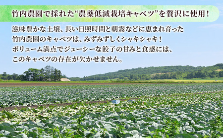 ボリューム満点 手作り冷凍餃子 60個 (15個×4袋)［錦華園］【 野菜 キャベツ たっぷり 厚い 手包み 手作り もちもち モチモチ 汁 町中華 中華 北海道 十勝 幕別 】