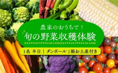 農家のおうちで旬の野菜！！収穫体験　１名 半日 ダンボール１箱お土産付き《豊前市》【田村農産】 [VBE006]