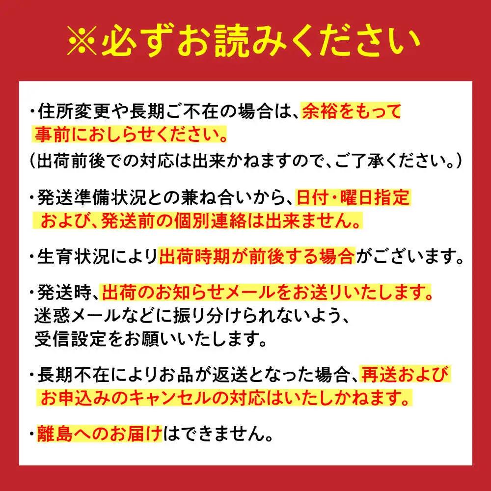 【2027年2月以降順次発送】佐賀県産みかん はまさき約5kg / みかん 蜜柑 果物 フルーツ / リフルット株式会社 [41ABAA022]