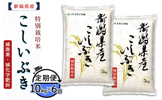 75-7K106【6ヶ月連続お届け】新潟県長岡産特別栽培米こしいぶき10kg（5kg×2袋）【2026年5月発送開始】