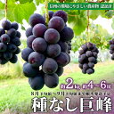 【ふるさと納税】【長野県須坂市産】種なし巨峰 約2kg（約4～6房）【信州の環境にやさしい農産物認証済】《わだぶどう》■2025年発送■※8月下旬頃～9月下旬頃まで順次発送予定 フルーツ 果物 ぶどう ブドウ 葡萄