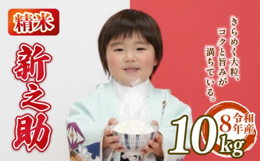 先行予約 令和8年産 新之助 10kg しんのすけ 5kg 2袋 白米 米 国産 環境こだわり おこめ お米 ご飯 ごはん オニギリ お弁当 kome 送料無料 数量限定 農家直送 産地直送 国産 川瀬農園 四代目 悠助 新潟 新発田 kwsSS002_202609